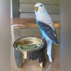 Cool & Unusual Parakeet Figurine with Magnifying Glass.